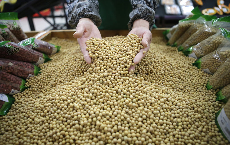 You are currently viewing Importações de soja da China caem em setembro com menor demanda por ração animal