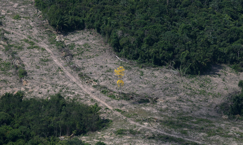 You are currently viewing Dado anual de desmatamento da Amazônia deve indicar entre 9 mil e 11 mil km2 de devastação, maior desde 2008